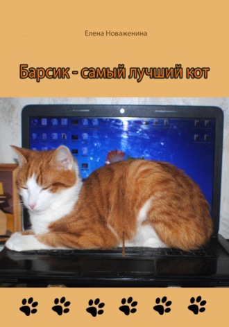 Елена Новаженина. Барсик – самый лучший кот