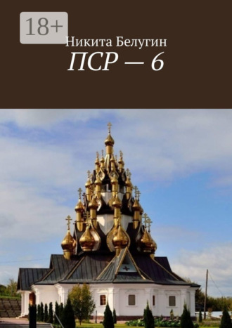 Никита Белугин. ПСР – 6