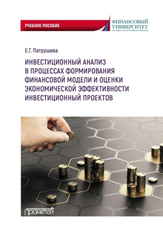Елена Григорьевна Патрушева. Инвестиционный анализ в процессах формирования финансовой модели и оценки экономической эффективности инвестиционных проектов