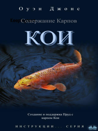 . Содержание карпов кои