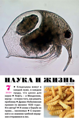 . Наука и жизнь №07/2024