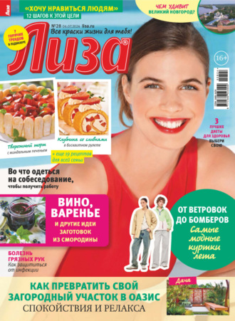 . Журнал «Лиза» №28/2024