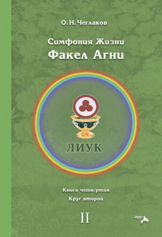 . Симфония жизни. Факел Агни. Книга четвертая. Круг второй