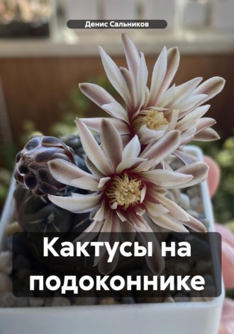 Денис Сальников. Кактусы на подоконнике
