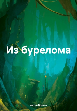 . Из бурелома