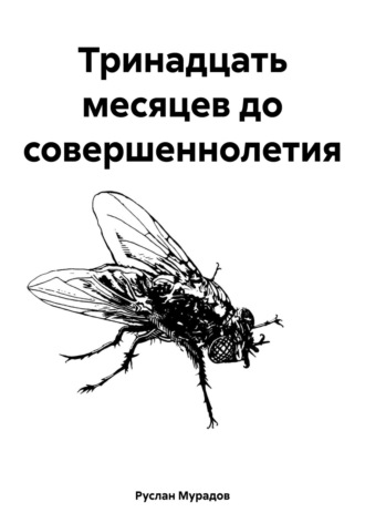 . Тринадцать месяцев до совершеннолетия