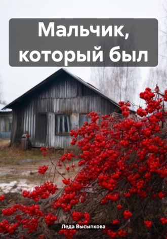 Леда Высыпкова. Мальчик, который был