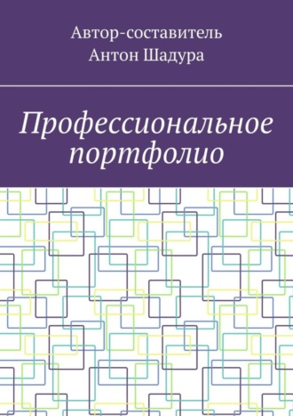 Антон Анатольевич Шадура. Профессиональное портфолио