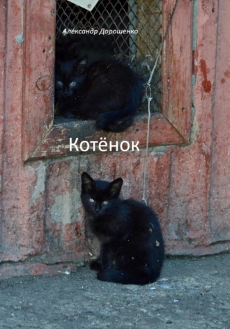 . Котёнок