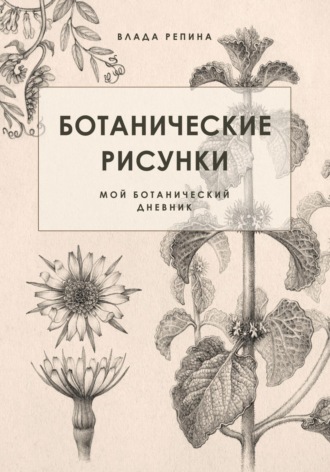 Репина Влада. Ботанические рисунки. Мой ботанический дневник