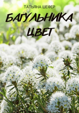 Татьяна Витальевна Шефер. Багульника цвет
