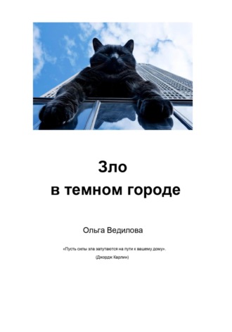 Ольга Ведилова. Зло в темном городе