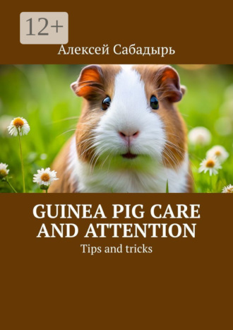 . Guinea pig care and attention. Tips and tricks