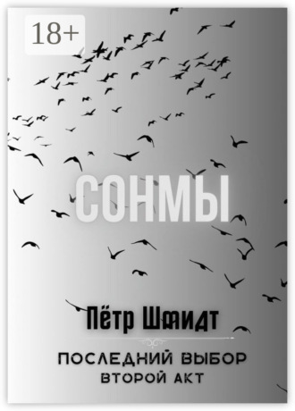 Пётр Шмидт. Сонмы. Последний выбор – Второй акт