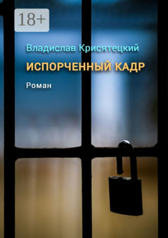 . Испорченный кадр. Роман