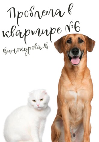 . Проблема в квартире 6
