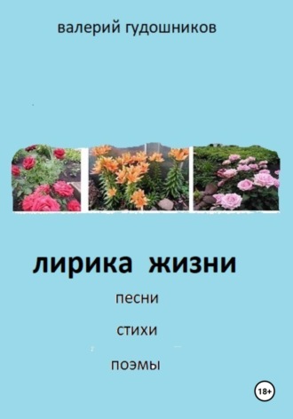 Валерий Гудошников. Лирика жизни. Песни, стихи, поэмы