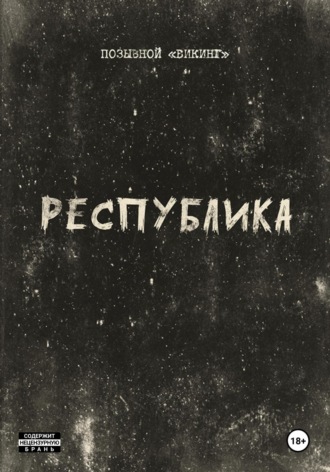 Позывной Викинг. Республика
