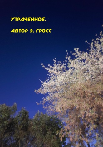 Эни Гросс. Утраченное