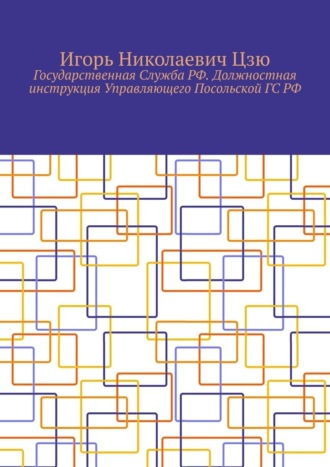 . Государственная Служба РФ. Должностная инструкция Управляющего Посольской ГС РФ