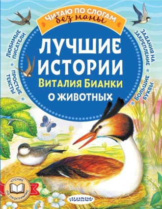 . Лучшие истории Виталия Бианки о животных