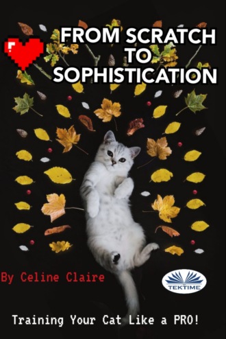 Celine Claire. From Scratch To Sophistication