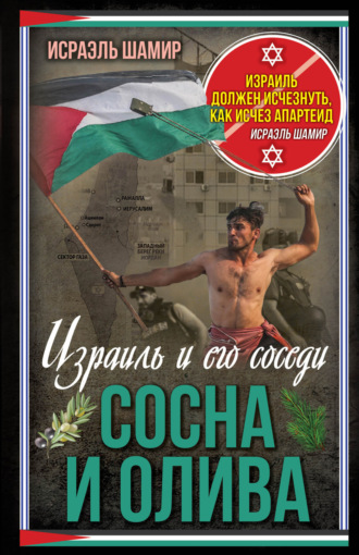 . Сосна и олива. Израиль и его соседи