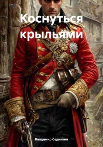Владимир Александрович Сединкин. Коснуться крыльями