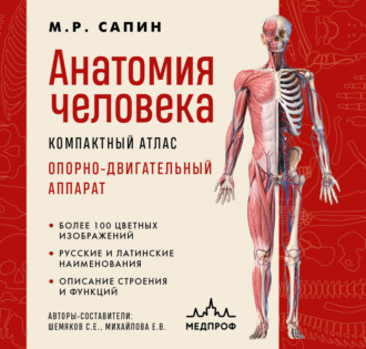 . Анатомия человека. Компактный атлас. Опорно-двигательный аппарат