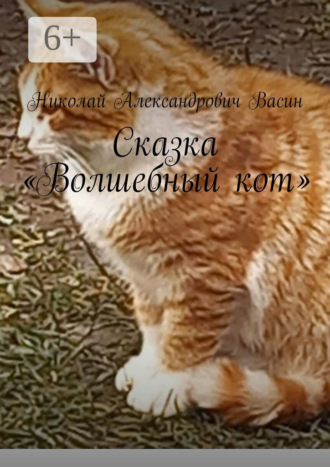 Николай Александрович Васин. Сказка «Волшебный кот»