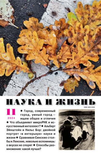 . Наука и жизнь №11/2024