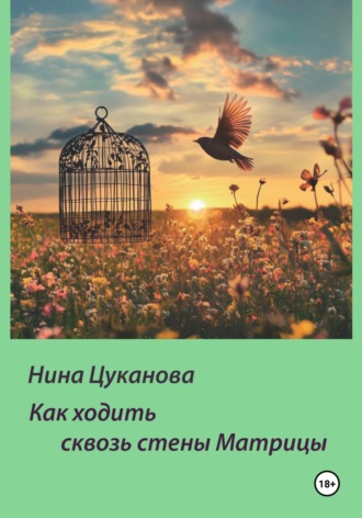 Нина Цуканова. Как ходить сквозь стены Матрицы
