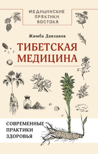 Жимба Данзанов. Тибетская медицина: современные практики здоровья