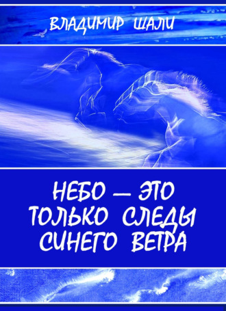 Владимир Шали. Небо – это только следы синего ветра