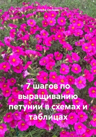 . 7 шагов по выращиванию петунии в схемах и таблицах