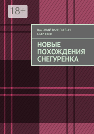 Василий Валерьевич Миронов. Новые похождения Снегуренка
