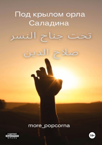 . Под крылом орла Саладина