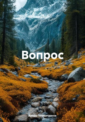 Артём Сергеевич Гилязитдинов. Вопрос
