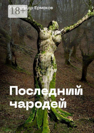 Александр Ермаков. Последний чародей