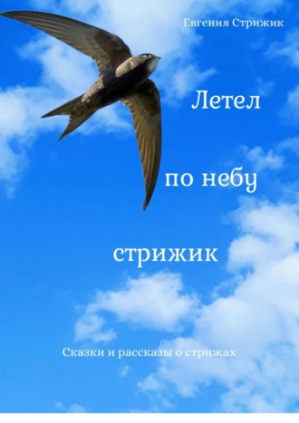 Евгения Стрижик. Летел по небу стрижик