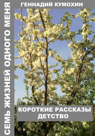 Геннадий Кумохин. Семь жизней одного меня. Короткие рассказы. Детство