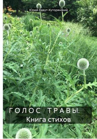 Юрий Владимирович Лавут-Хуторянский. Г О Л О С Т Р А В Ы. Книга стихов