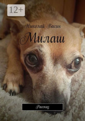 Николай Александрович Васин. Милаш. Рассказ