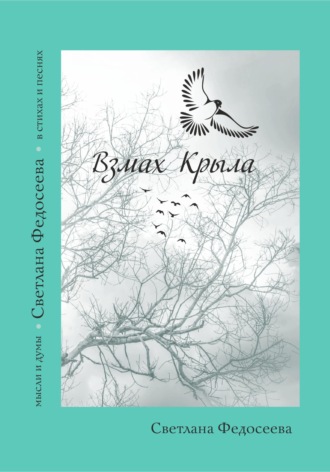 . ВЗМАХ КРЫЛА