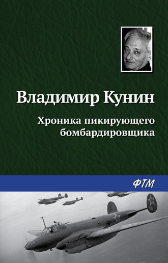 . Хроника пикирующего бомбардировщика