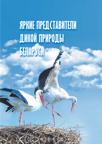 . Яркие представители дикой природы Беларуси