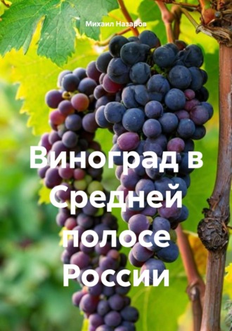 . Виноград в Средней полосе России