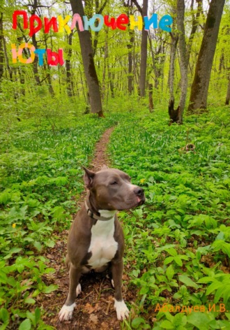 . Приключение Юты