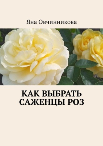 . Как выбрать саженцы роз