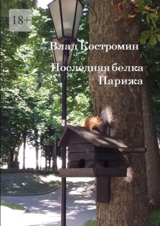 Влад Костромин. Последняя белка Парижа